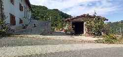 Avatares